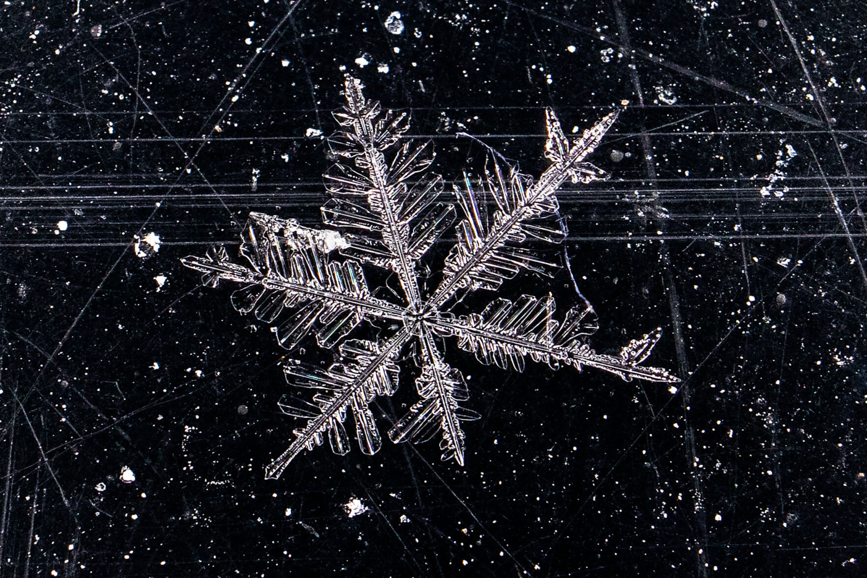 021721-owh-new-snow-pic-cm001.jpg